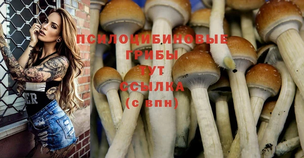 кокаин перу Аркадак
