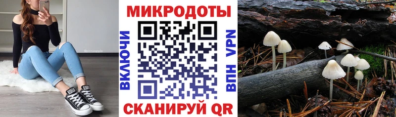 Псилоцибиновые грибы Psilocybe  купить  цена  MEGA ссылка  Устюжна 